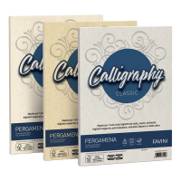 Carta Calligraphy Pergamena - A4 - 90 gr - perla 10 - conf. 50 fogli - Favini - A694204 - 8007057672107 - DMwebShop