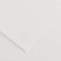 Foglio Colorline - 70 x 100 cm - 220 gr - bianco - Canson - 200041187 - 3148954227047 - DMwebShop