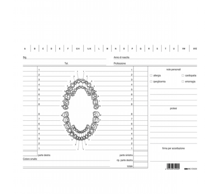 Schede in cartoncino per dentisti - 17 x 24 cm - verde - conf. 100 pezzi - Edipro - E3529 - 8023328352912 - DMwebShop