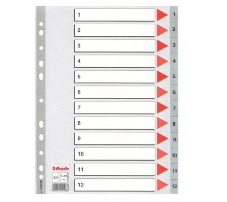 Separatore numerico 1/12 - PPL - A4 - 22,5 x 29,7 cm - grigio - Esselte - 100106 - 5902812001068 - DMwebShop