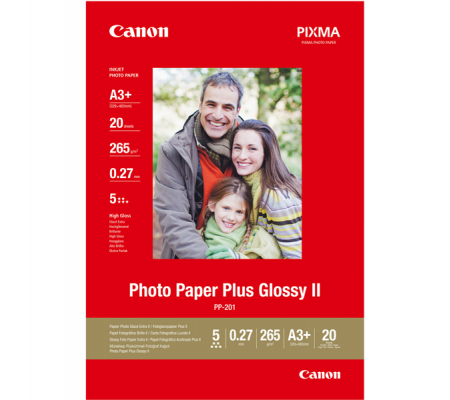Carta fotografica Plus Glossy II PP-201 A3+ - 20 Fogli - Canon - 2311B021 - 4960999537290 - DMwebShop