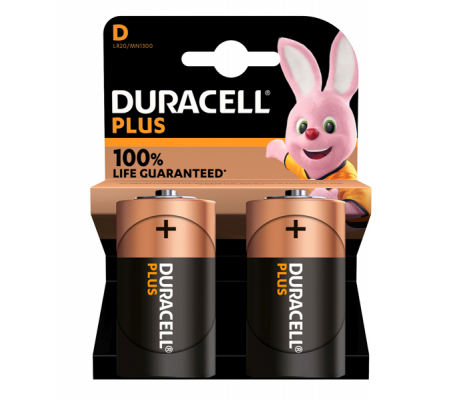 Pila Torcia D Plus100 - MN1300 - blister 2 pezzi - Duracell - DU0401 - 5000394141988 - DMwebShop