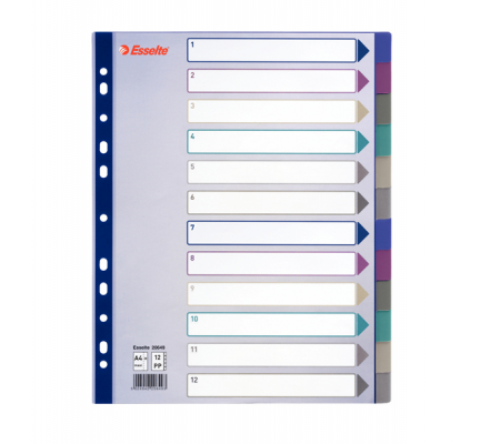 Separatore - 12 tasti - PP traslucido - A4 maxi - 24,5 x 29,7 cm - multicolore - Esselte - 20649 - 5024942206493 - DMwebShop