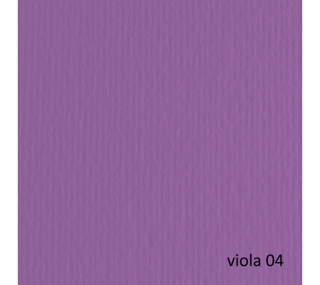 Cartoncino Elle Erre - 50 x 70 cm - 220 gr - viola 104 - blister 20 fogli - Fabriano - 42450704 - 8001348122500 - DMwebShop