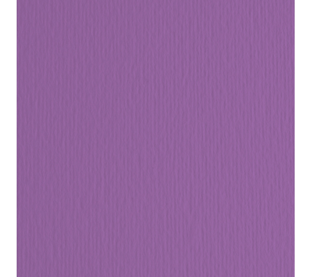 Cartoncino Elle Erre - 70 x 100 cm - 220 gr - viola 104 - blister 10 fogli - Fabriano - 46470104 - 8001348121862 - DMwebShop