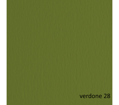 Cartoncino Elle Erre - 70 x 100 cm - 220 gr - verdone 128 - blister 10 fogli - Fabriano - 46470128 - 8001348146575 - DMwebShop