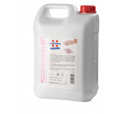 Sapone igienizzante mani - 5 lt - Amuchina Professional - 420011 - DMwebShop