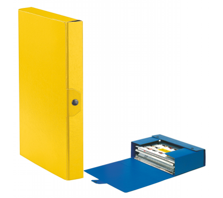 Scatola progetto Eurobox - dorso 4 cm - 25 x 35 cm - giallo - Esselte - 390324090 - 8004157324097 - DMwebShop