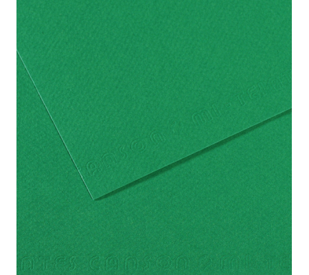 Foglio Mi-Teintes - A4 - 160 gr - verde biliardo - conf. 25 pezzi - Canson - C31032S029 - DMwebShop