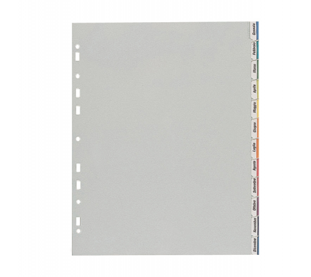 Separatore - 12 tacche personalizzabili - PP - 22 x 30 cm - grigio - Favorit - 400006688 - 8006779056202 - DMwebShop