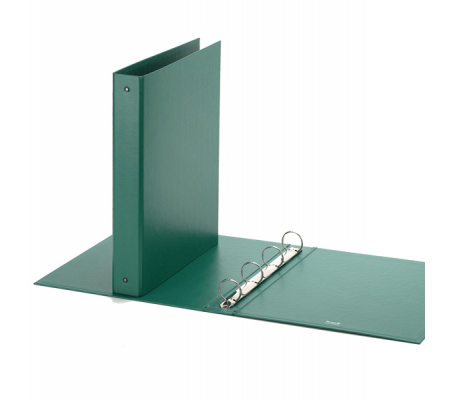 Raccoglitore Europa - 4 anelli tondi 30 mm - dorso 4 cm - f.to utile 22 x 30 cm - verde - Favorit - 400051150 - 8006779031650 - DMwebShop