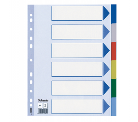 Separatore - 6 tasti colorati - PPL - A4 - multicolore - Esselte - 15260 - 5902812152609 - DMwebShop