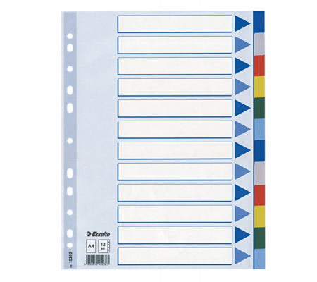 Separatore - 12 tasti colorati - PPL - A4 - multicolore - Esselte - 15262 - 5902812152623 - DMwebShop