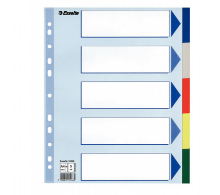 Separatore - 5 tasti colorati - PP - A4 maxi - 24,5 x 29,7 cm - multicolore - Esselte - 15266 - 5902812152661 - DMwebShop