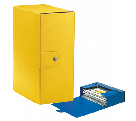 Scatola progetto Eurobox - dorso 15 cm - 25 x 35 cm - giallo - Esselte - 390335090 - 8004157335093 - DMwebShop