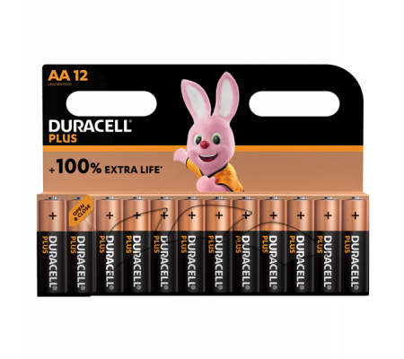 Blister 12 pile Stilo AA - Plus 100 - Duracell - DU0121 - 5000394140967 - DMwebShop