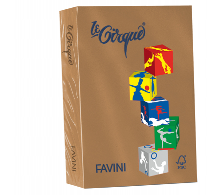 Carta Le Cirque - A4 - 80 gr - cuoio 300 - conf. 500 fogli - Favini - A71Z504 - 8025478321541 - DMwebShop