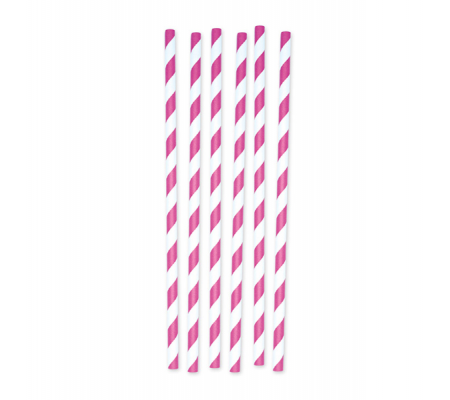 Cannucce Stripes carta fucsia-bianco - conf. 12 pezzi - Big Party - 73600 - DMwebShop