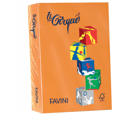 Carta Le Cirque - A4 - 80 gr - arancio 205 - conf. 500 fogli - Favini - A71E504 - 8025478320254 - DMwebShop