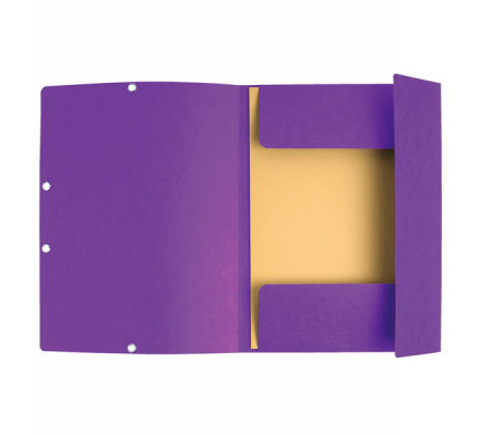 Cartellina con elastico - cartoncino lustre' - 3 lembi - 400 gr - 24 x 32 cm - viola - Exacompta - 55508E - 3130630555087 - 71863_1 - DMwebShop