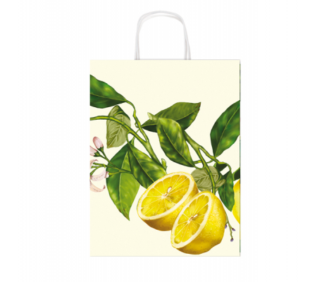 Shoppers - con manici - 26 x 34,5 cm - fantasie assortite - Rex Sadoch - SDX26ASS - 8006715188905 - 89465_6 - DMwebShop