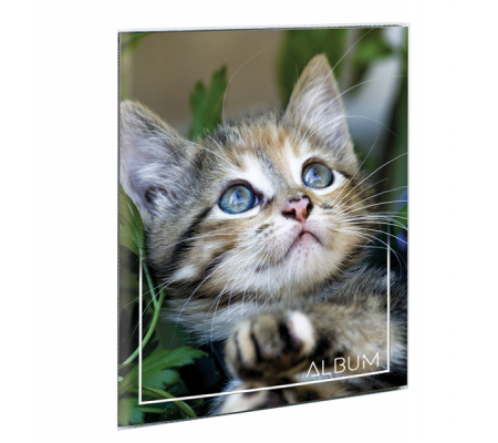 Album portafoto a busta saldato assortiti - 23 x 30 cm - contiene fino a 80 foto da 14 x 19 cm - Lebez - 2757 - 8007509027578 - 55617_4 - DMwebShop