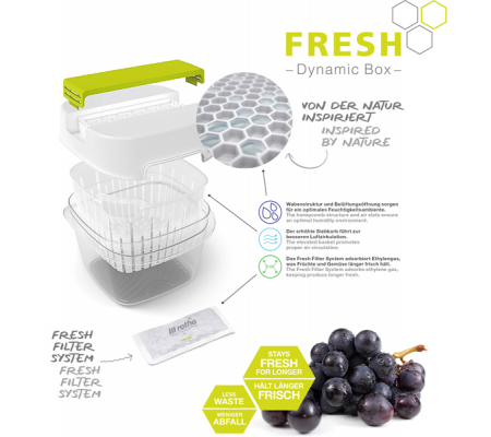 Contenitore per alimenti Dynamic Box Fresh - 1,6 lt - Rotho - F710256 - 7610859256935 - 91162_3 - DMwebShop