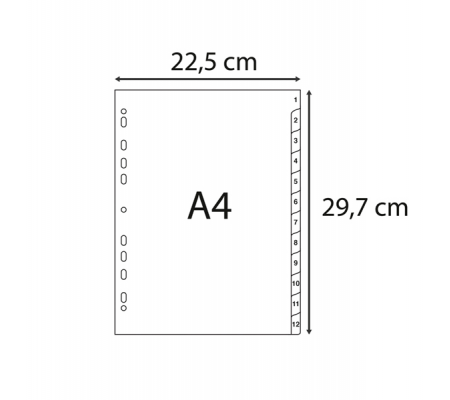 Intercalare numerico - PPL riciclato - A4 - 12 tasti - A-Z - grigio - Exacompta - 1912E - 94273_2 - DMwebShop