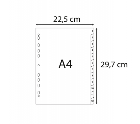 Intercalare numerico - 31 tasti - A4 - PPL riciclato - grigio - Exacompta - 1931E - 3130630019312 - 94274_2 - DMwebShop