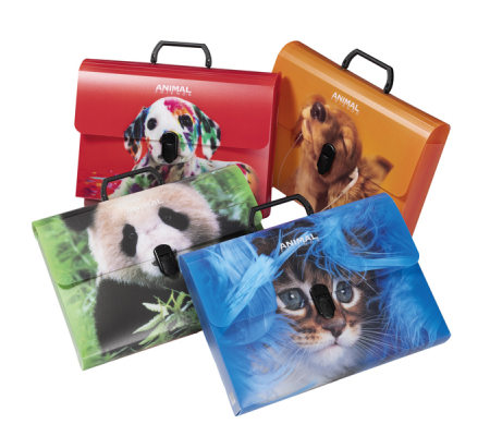 Valigetta Animal Friends Color - 28 x 38 cm - dorso 5 cm - PP - fantasie assortite - Ri.plast - 64EP16 - 8011791002212 - DMwebShop