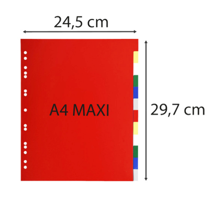 Separatore neutro a 12 tacche - PPL - colori assortiti - A4 Maxi - DMwebShop - 1