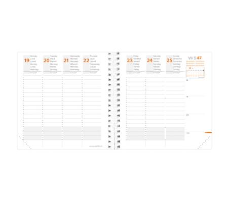 Agenda settimanale Time&Life 2025 - 16 x 16 cm - 3371010459810 - DMwebShop - 1