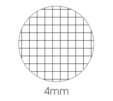 Maxiquaderno Citta' fantasia - A4 - 40+2 fogli - 80 gr - 8008234104060 - DMwebShop - 1