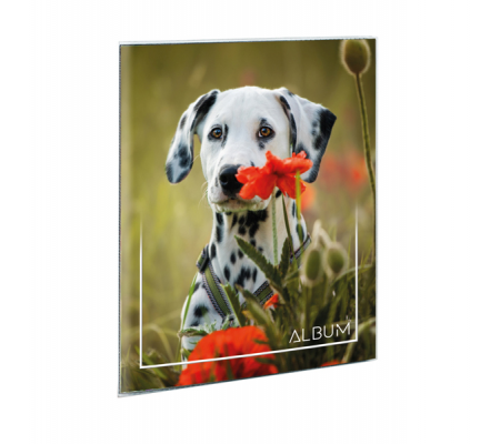 Album portafoto a busta saldato assortiti - 17 x 21 cm - contiene fino a 24 foto da 14,5 x 20 cm - Lebez - 2756. - 8007509027561 - DMwebShop - 2