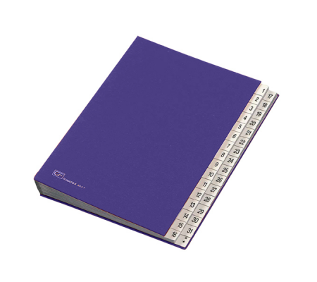 Classificatore numerico 1/31 - 643D - 24 x 34 cm - blu - Fraschini - 643D-BLU - 8027032022000 - DMwebShop