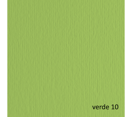 Cartoncino Elle Erre - 50 x 70 cm - 220 gr - verde pisello 110 - blister 20 fogli - Fabriano - 42450710 - 8001348103561 - DMwebShop