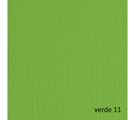 Cartoncino Elle Erre - 50 x 70 cm - 220 gr - verde 111 - blister 20 fogli - Fabriano - 42450711 - 8001348103578 - DMwebShop