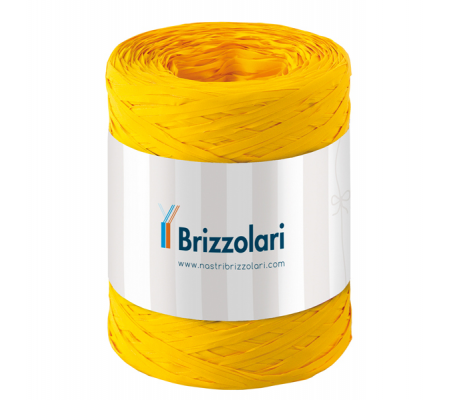 Nastro Rafia sintetica - giallo 02 - 5 mm x 200 mt - Brizzolari - 01003702 - 8031653208545 - DMwebShop