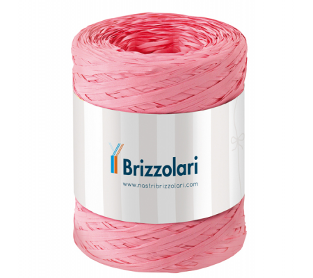 Nastro Rafia sintetica - rosa 05 - 5 mm x 200 mt - Brizzolari - 01003705 - 8031653208620 - DMwebShop