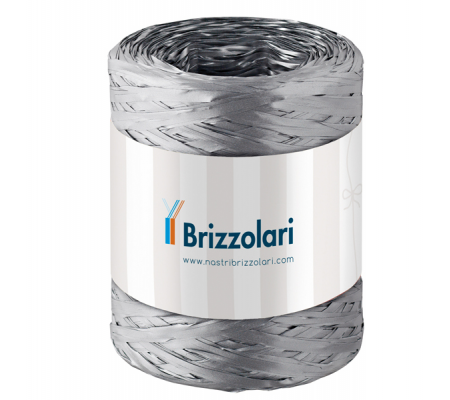 Nastro Rafia sintetica argento 44 - 5 mm x 200 mt - Brizzolari - 01003744 - 8031653208552 - DMwebShop