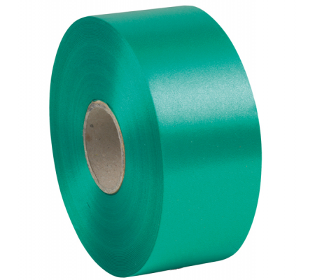 Nastro liscio 6800 in polipropilene - 50 mm x 100 mt - verde bandiera 09 - Brizzolari - 00366309 - 8031653042699 - DMwebShop