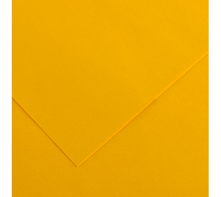 Foglio Colorline - 70 x 100 cm - 220 gr - giallo oro - conf. 25 pezzi - Canson - 200041191 - 3148954227085 - DMwebShop