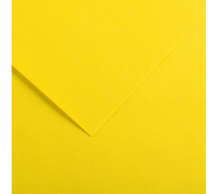 Foglio Colorline - 70 x 100 cm - 220 gr - giallo canarino - conf. 25 pezzi - Canson - 200041190 - 3148954227078 - DMwebShop