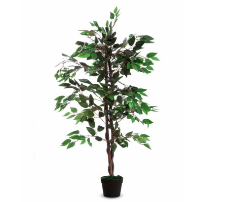 Pianta ornamentale - ficus - H120 cm - Paperflow - K700136 - 3660141290080 - DMwebShop